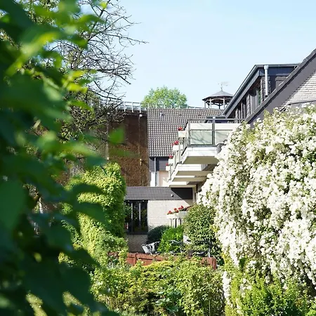 Dreyer Garni