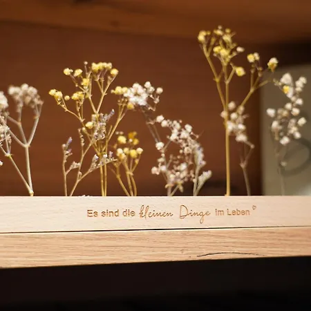 Hotel Dreyer Garni 3*