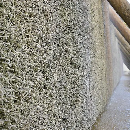 Hotell Dreyer Garni Bad Rothenfelde